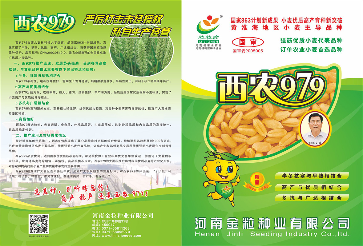西農(nóng)979單頁